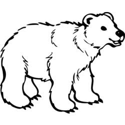 Coloring page: Bear (Animals) #12229 - Free Printable Coloring Pages