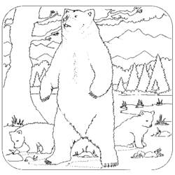 Coloring page: Bear (Animals) #12235 - Free Printable Coloring Pages