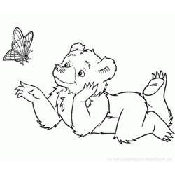 Coloring page: Bear (Animals) #12238 - Free Printable Coloring Pages