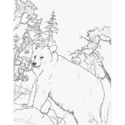 Coloring page: Bear (Animals) #12314 - Free Printable Coloring Pages