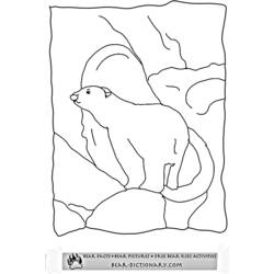 Coloring page: Bear (Animals) #12353 - Free Printable Coloring Pages
