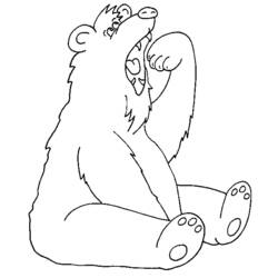 Coloring page: Bear (Animals) #12379 - Free Printable Coloring Pages