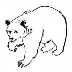 Bear (Animals) coloring page #180711 to print and color