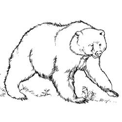 Bear (Animals) coloring page #180718 to print and color