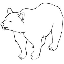 Bear (Animals) coloring page #180721 to print and color