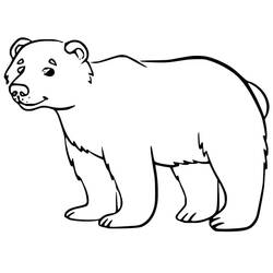 Bear (Animals) coloring page #180724 to print and color