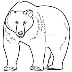 Bear (Animals) coloring page #180731 to print and color