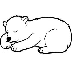 Bear (Animals) coloring page #180735 to print and color