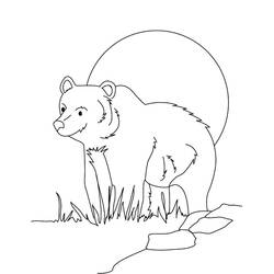 Bear (Animals) coloring page #217197 to print and color