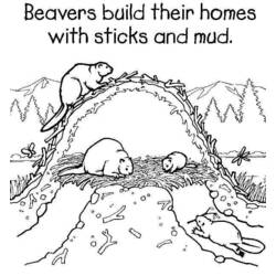 Coloring page: Beaver (Animals) #1573 - Printable coloring pages