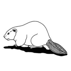Coloring page: Beaver (Animals) #1574 - Printable coloring pages
