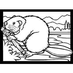 Coloring page: Beaver (Animals) #1585 - Printable coloring pages