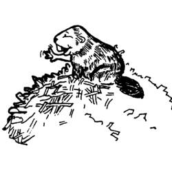 Coloring page: Beaver (Animals) #1590 - Printable coloring pages