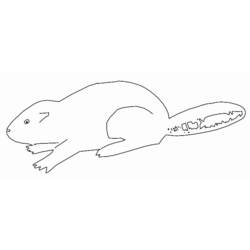 Coloring page: Beaver (Animals) #1626 - Free Printable Coloring Pages