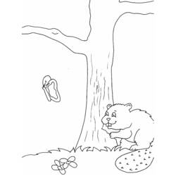 Coloring page: Beaver (Animals) #1629 - Free Printable Coloring Pages
