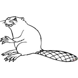 Coloring page: Beaver (Animals) #1638 - Printable coloring pages