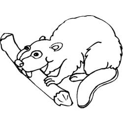 Coloring page: Beaver (Animals) #1639 - Printable coloring pages