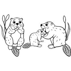 Beaver (Animals) coloring page #207211 to print and color