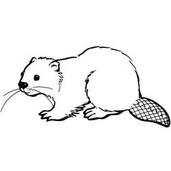 Beaver (Animals) coloring page #207236 to print and color