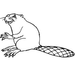 Beaver (Animals) coloring page #207237 to print and color