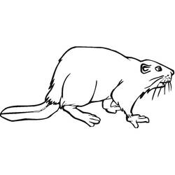 Beaver (Animals) coloring page #207246 to print and color