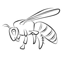 Coloring page: Bee (Animals) #101 - Printable coloring pages