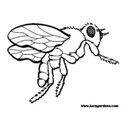 Coloring page: Bee (Animals) #161 - Free Printable Coloring Pages