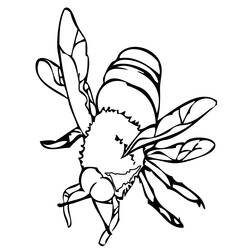 Coloring page: Bee (Animals) #82 - Printable coloring pages