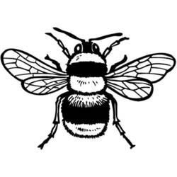 Coloring page: Bee (Animals) #97 - Printable Coloring Pages
