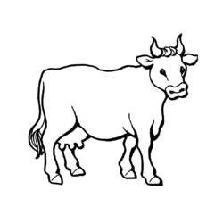 Coloring page: Beef (Animals) #1340 - Printable coloring pages