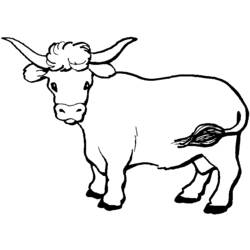 Coloring page: Beef (Animals) #1342 - Printable coloring pages