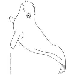 Coloring page: Beluga (Animals) #1064 - Printable coloring pages
