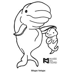 Coloring page: Beluga (Animals) #1065 - Printable coloring pages
