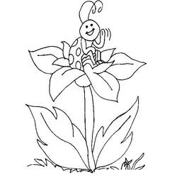 Bettle (Animals) coloring page #177685 to print and color