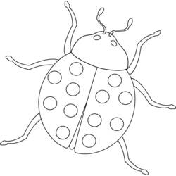 Coloring page: Bettle (Animals) #3388 - Printable coloring pages