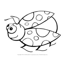 Coloring page: Bettle (Animals) #3389 - Printable coloring pages