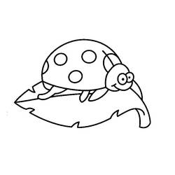 Coloring page: Bettle (Animals) #3391 - Free Printable Coloring Pages