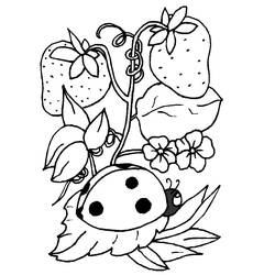 Coloring page: Bettle (Animals) #3394 - Printable coloring pages