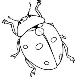Coloring page: Bettle (Animals) #3400 - Free Printable Coloring Pages