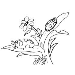 Coloring page: Bettle (Animals) #3407 - Free Printable Coloring Pages