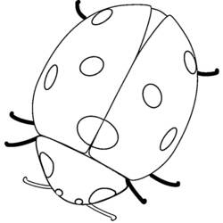 Coloring page: Bettle (Animals) #3418 - Printable coloring pages