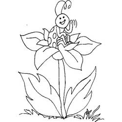 Coloring page: Bettle (Animals) #3420 - Free Printable Coloring Pages