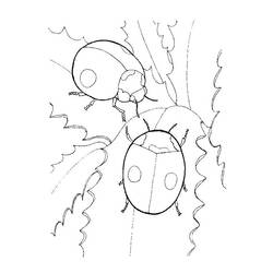 Coloring page: Bettle (Animals) #3437 - Free Printable Coloring Pages