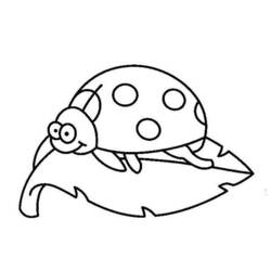 Coloring page: Bettle (Animals) #3447 - Printable coloring pages
