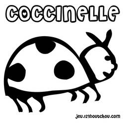 Coloring page: Bettle (Animals) #3455 - Free Printable Coloring Pages