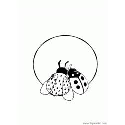 Coloring page: Bettle (Animals) #3469 - Free Printable Coloring Pages