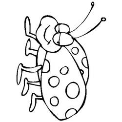 Coloring page: Bettle (Animals) #3475 - Printable coloring pages