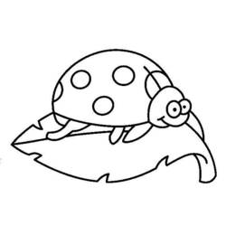 Coloring page: Bettle (Animals) #3493 - Free Printable Coloring Pages