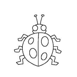 Coloring page: Bettle (Animals) #3505 - Free Printable Coloring Pages