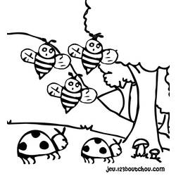 Coloring page: Bettle (Animals) #3529 - Free Printable Coloring Pages